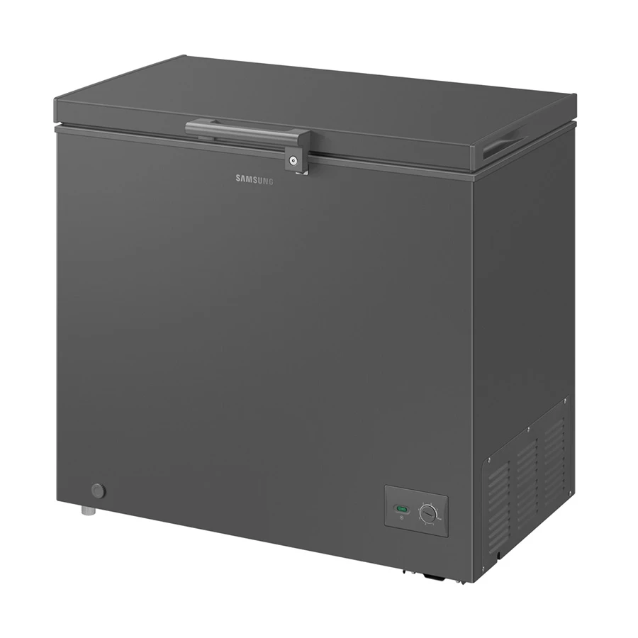 Samsung RI70FM51 Freezer in BD