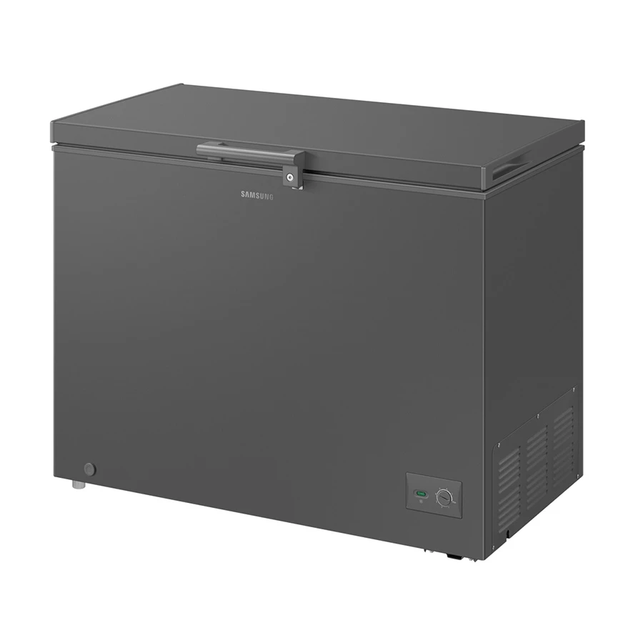 Samsung RI70FM51 Freezer in BD