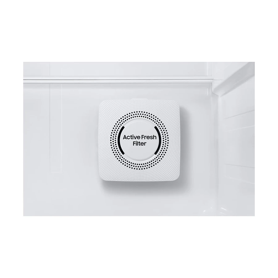 Samsung RT38CB66448A Fridge Best Price