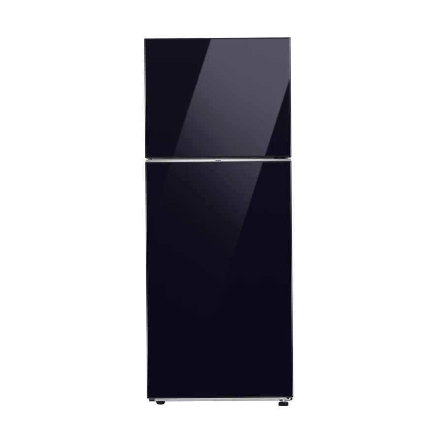 Samsung RT42CB664022D2 Refrigerator