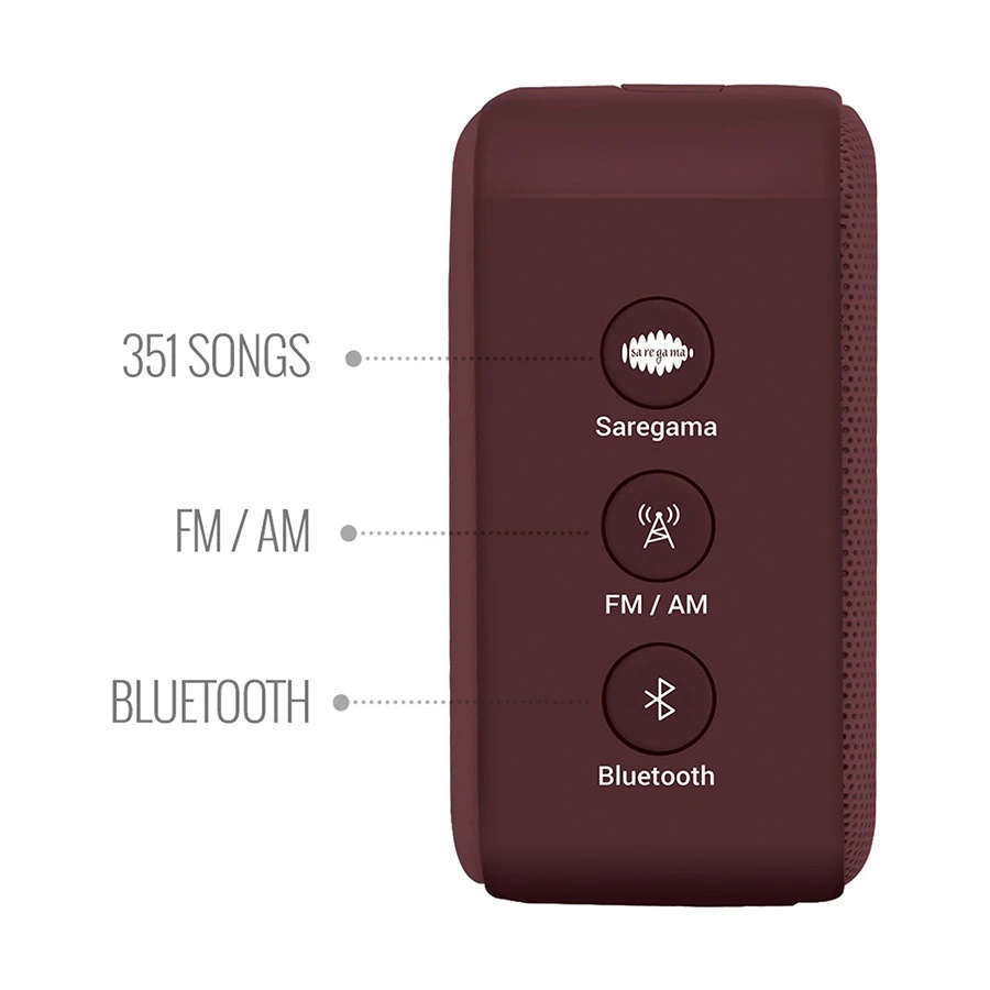Saregama Carvaan Mini Rabindrasangeet Music Player in BD