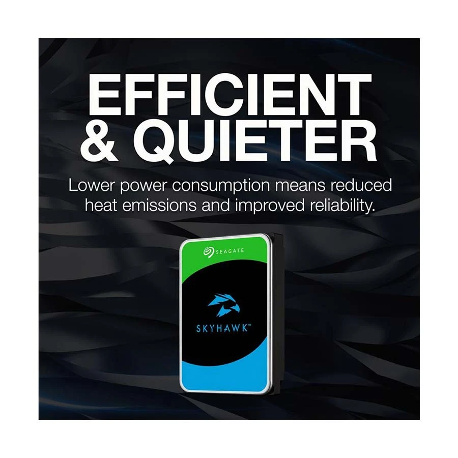 Seagate Skyhawk 6TB Internal HDD in BD