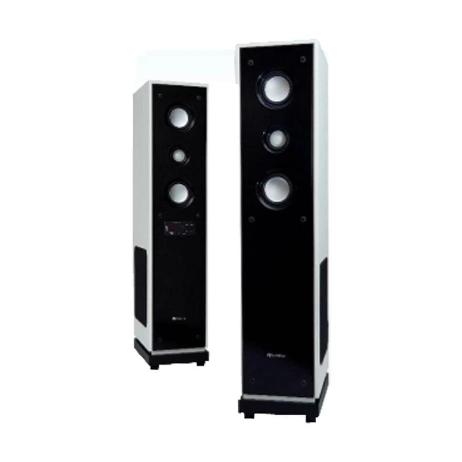 SOLITINE Solitine Fury SE DT 1060 Speaker