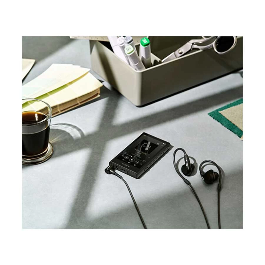 Sony NW-A306 Music Player Best Price