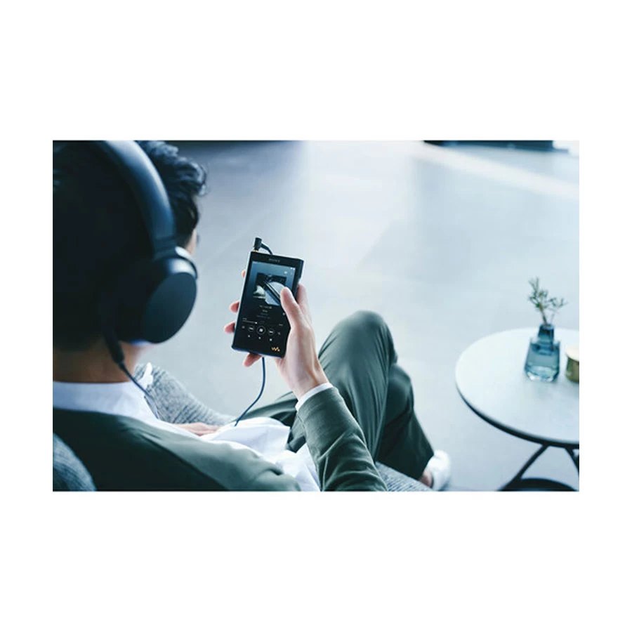 Sony NW-WM1AM2 Music Player specifications