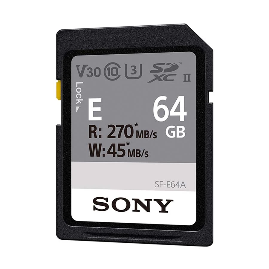 Sony SF-E Series 64GB Memory Card in BD