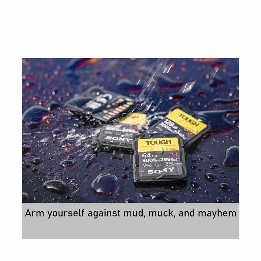 Sony SF-G Series Memory Card Price in BD