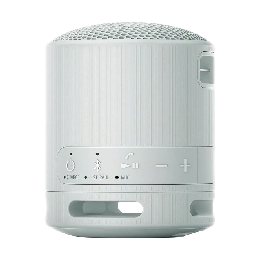 Sony SRS-XB100 Speaker in BD