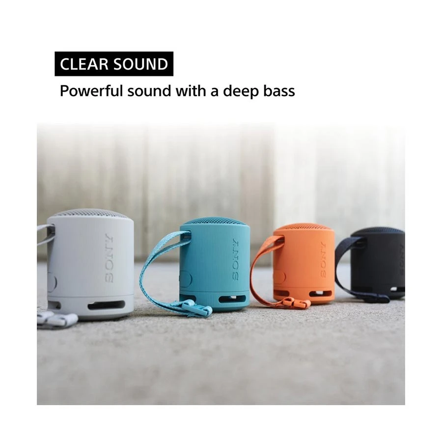 Sony SRS-XB100 Speaker specifications