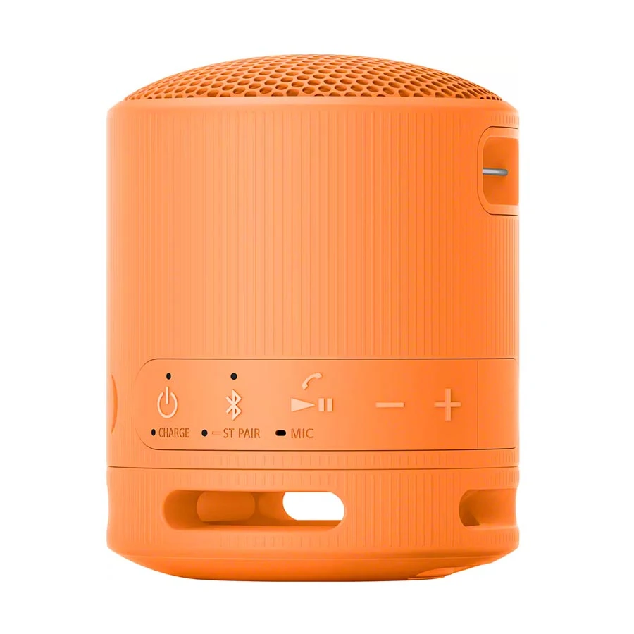 Sony SRS-XB100 Speaker in BD