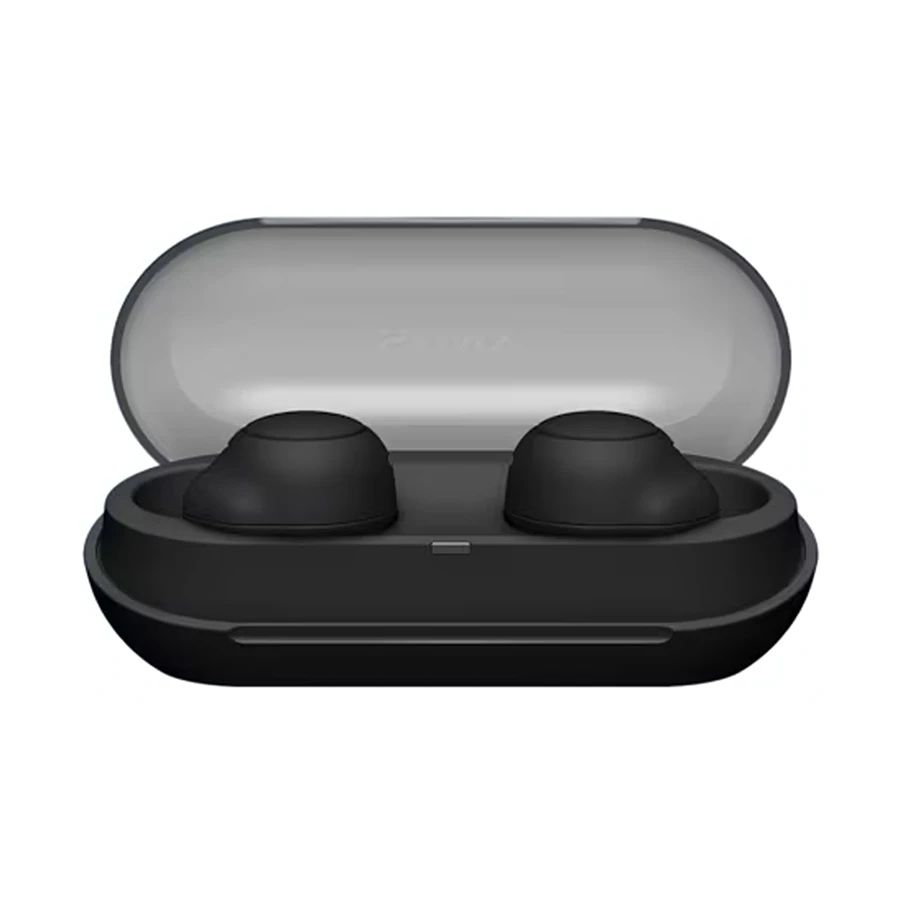 Sony WF-C500 Earbuds