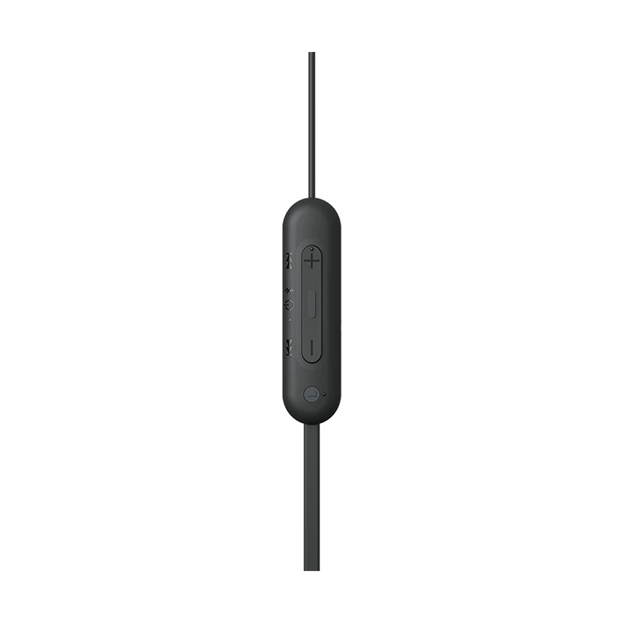 Sony WI-C100 Neckband in BD