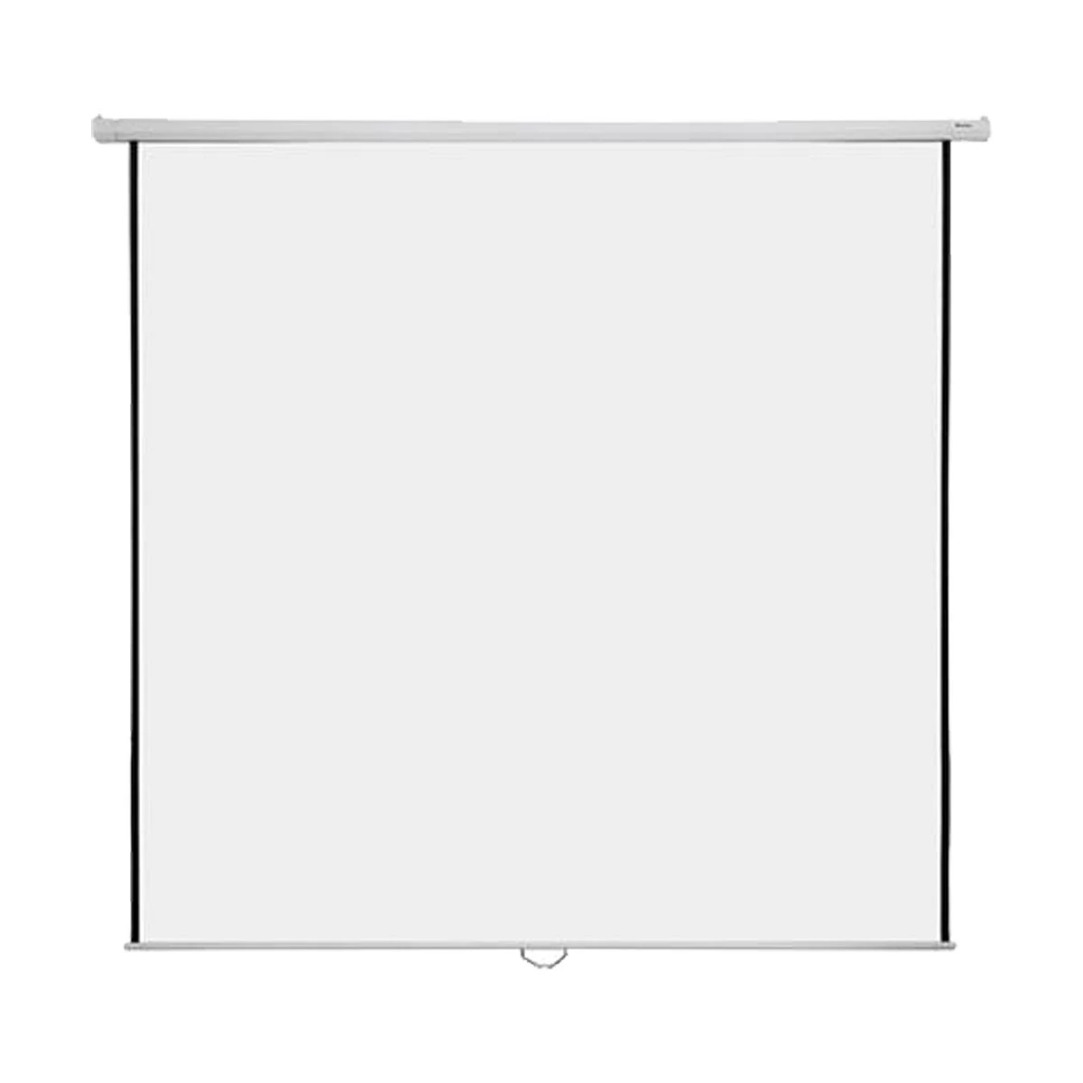 Super View 70 Inch x Projector Screen