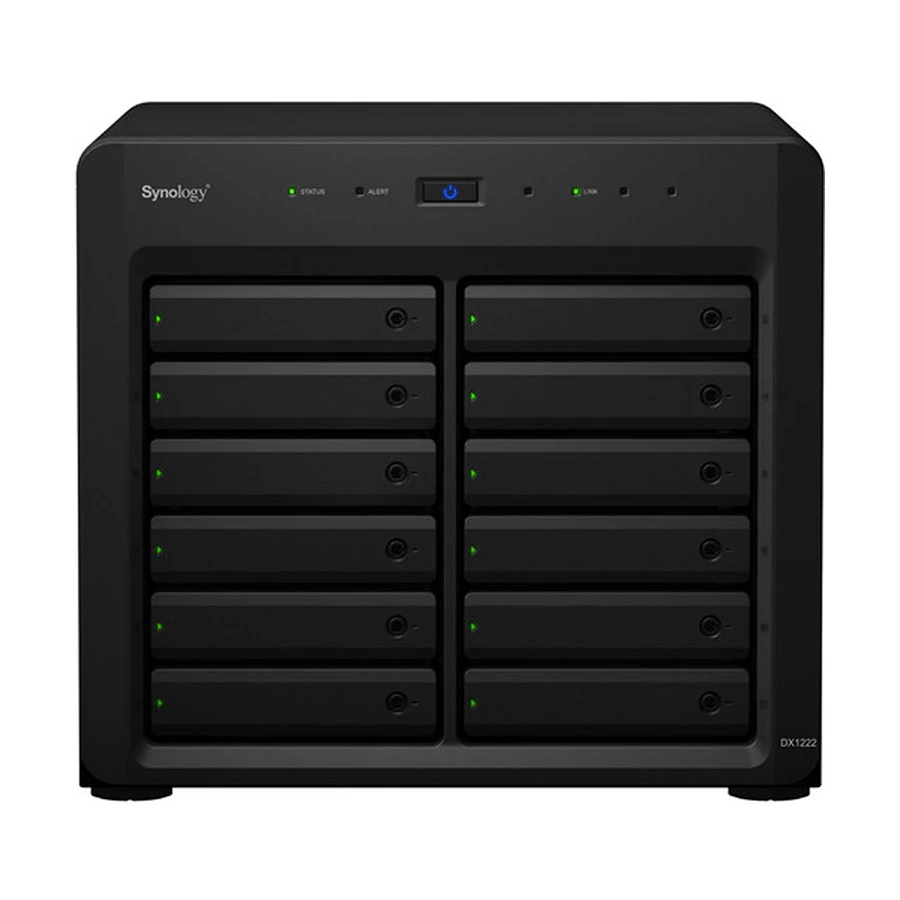 Synology DX1222 Network Storage