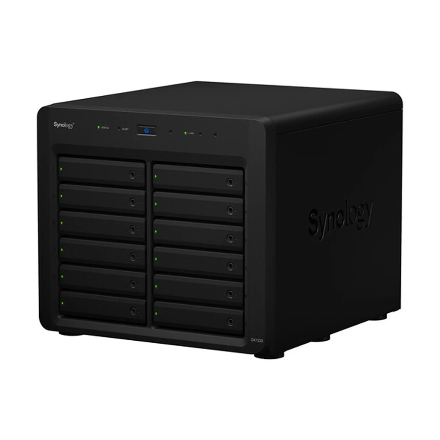 Synology DX1222 Network Storage in BD