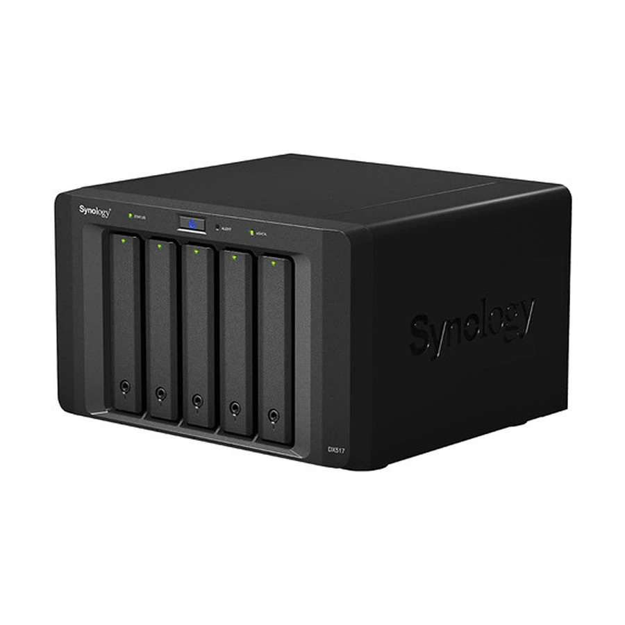 Synology DX517 Network Storage in BD
