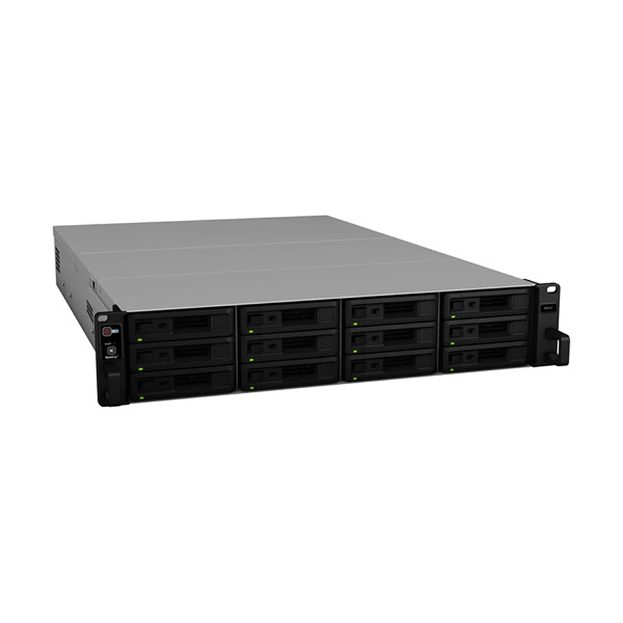 Synology RX1217 Network Storage in BD