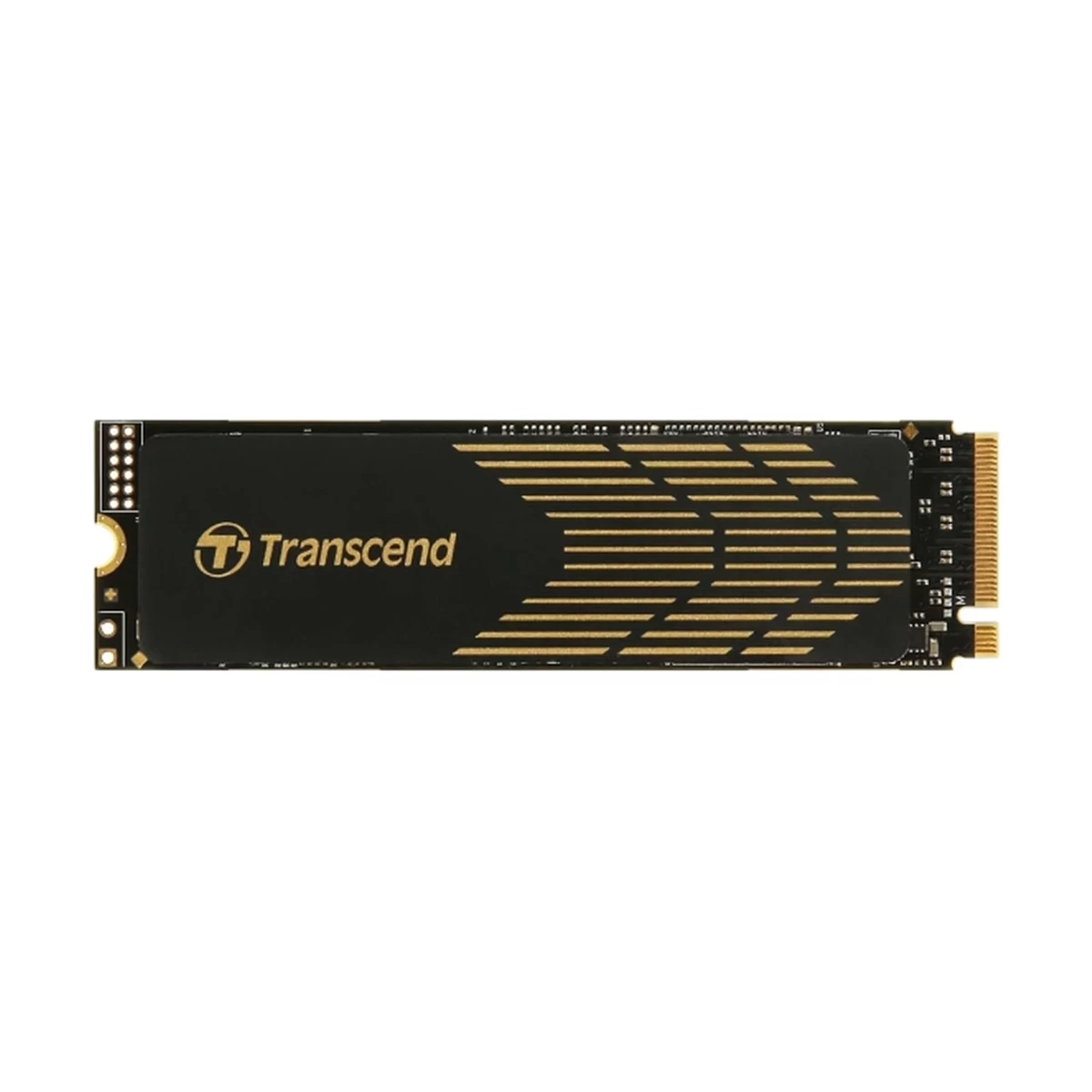 Transcend 240S Internal SSD in BD