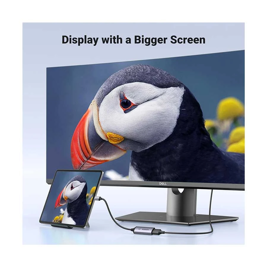 Ugreen CM654 Type-C Male to DisplayPort Female Cable / Converter / HUB Price in BD