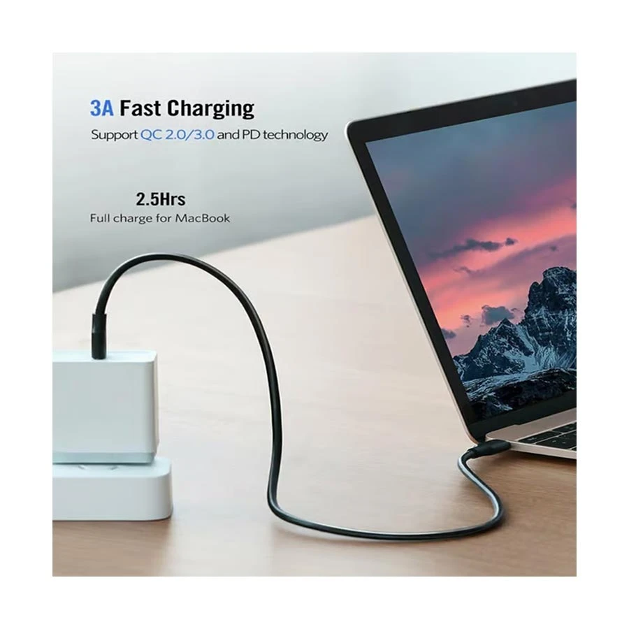 Ugreen 10306 USB Type-C Male to Male USB Cable