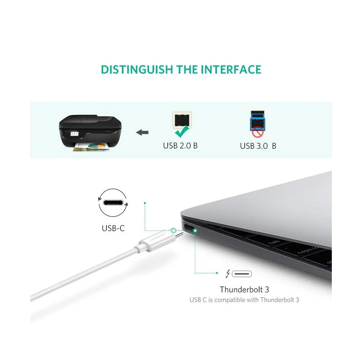 Ugreen US241 USB Type C to USB-B USB Cable Price in BD