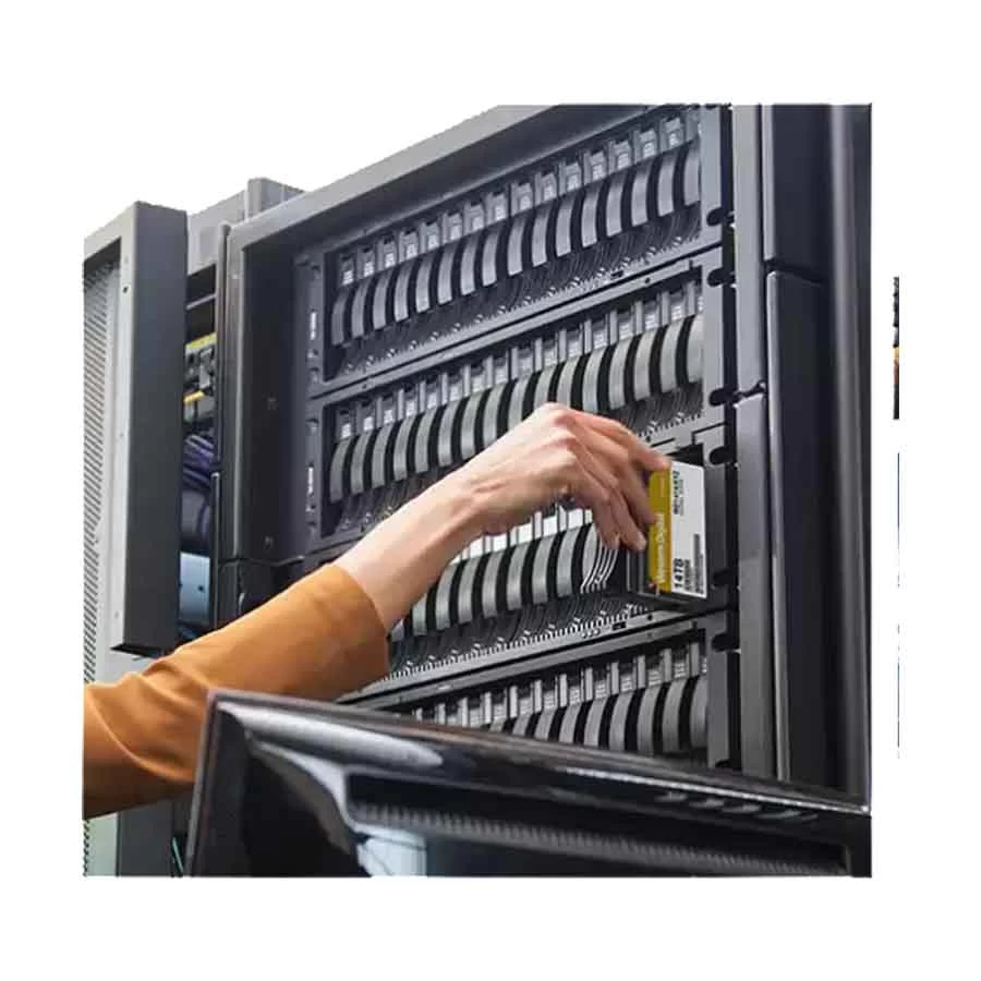 Western Digital 1TB Internal Server HDD in BD