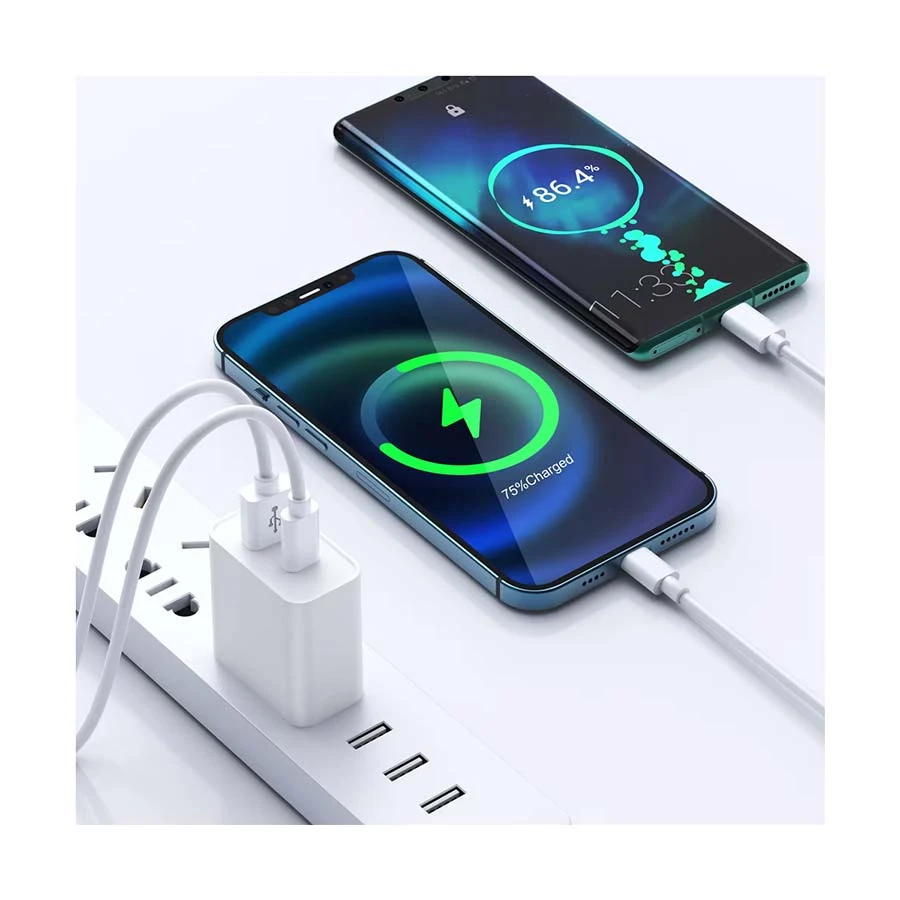 WiWU RY-U20 Wall Charger Price in Bangladesh