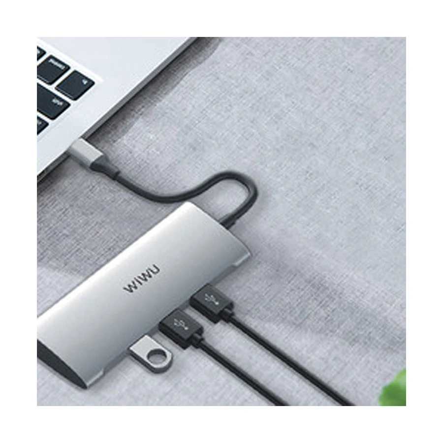 WIWU Type-C Male to HDMI, Tri USB, SD, TF & Type-C Female Type-C Converter