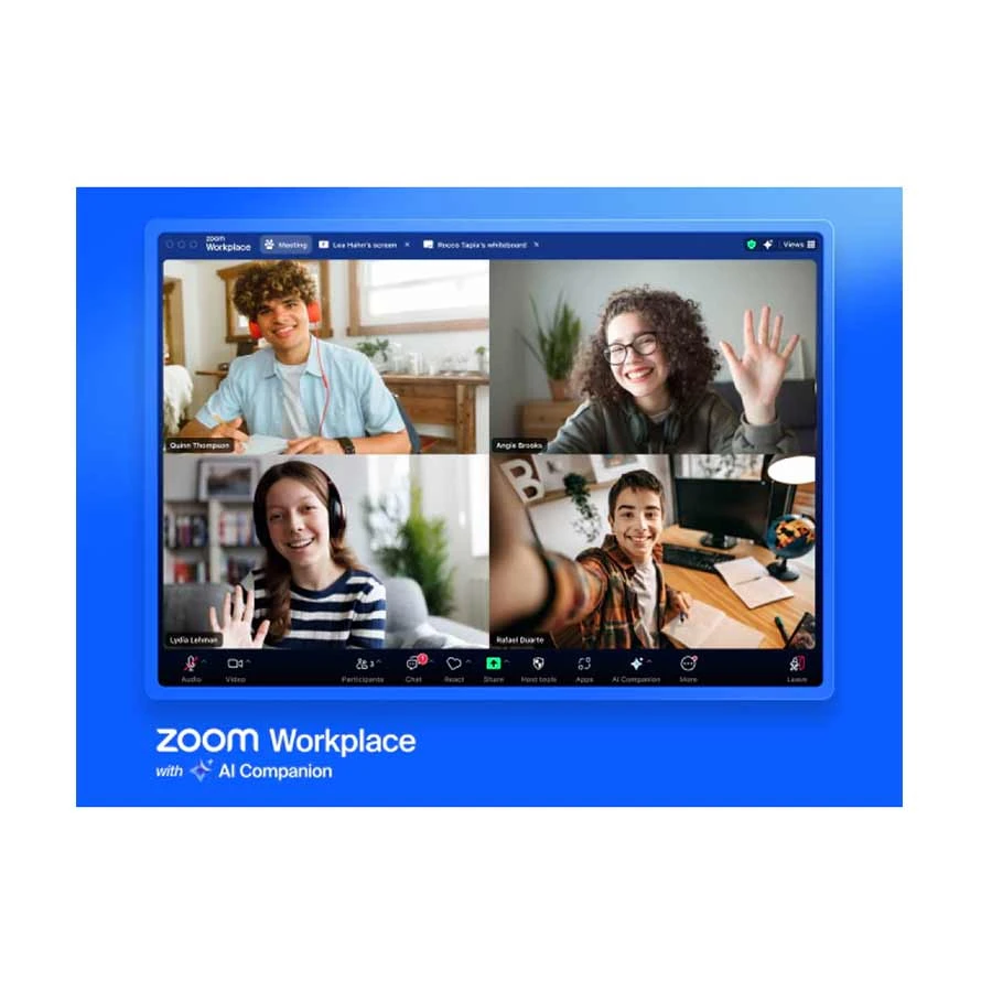 Zoom Workplace Pro Office Application