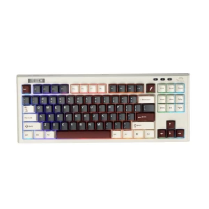 1st Player NEO87 RGB Wired Hot Swap (Lavender Switch) Rome Mechanical Gaming Keyboard