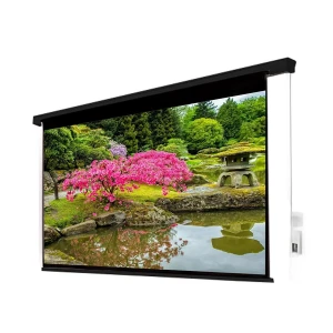 Apollo 96 Inch x 96 Inch Wall Mount Electronic Projector Screen