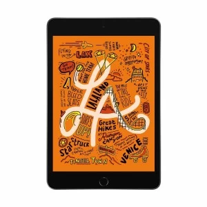 Apple iPad Mini 5th Gen 7.9 Inch 64GB Wifi Space Gray Tablet