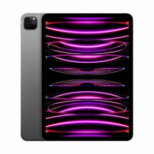 Apple iPad Pro (Late 2022) 4th Gen 11 Inch Liquid Retina Display Space Gray Tablet #MP573xx/A