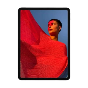 Apple iPad Pro Mid 2021 M1 Chip 11 Inch 256GB WiFi Space Gray Tablet #MHQU3xx/A