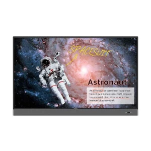 BenQ RM6502S 65 inch 4K UHD Education Interactive Flat Panel Display