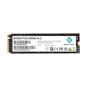 Biwintech NX500 256GB M.2 2280 PCIe SSD