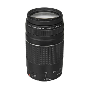 Canon EF 75-300mm F4-5.6 II Camera Lens (No Warranty)