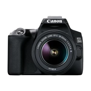 Canon EOS 250D Black Camera Body with EF-S 18-55mm f/3.5-5.6 III Lens (No Warranty)