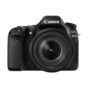 Canon EOS 80D Digital SLR Camera Body with EF-S 18-135mm USM Lens (No Warranty)