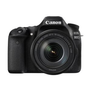 Canon EOS 80D Digital SLR Camera Body with EF-S 18-135mm STM lens (No Warranty)