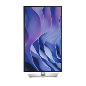 Dell P2225H 22 Inch FHD IPS 100Hz Professional Monitor HDMI DP VGA USB & USB-C