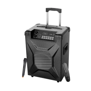 F&D T2 Bluetooth Trolley Speaker with Microphone