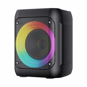 Havit SQ133BT Outdoor Bluetooth Black Speaker