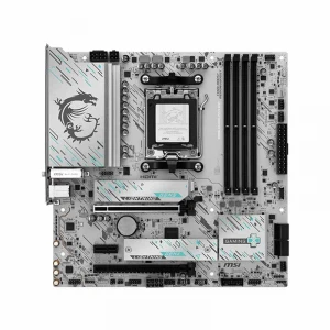 MSI