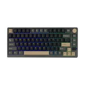 Royal Kludge RK M75 Tri Mode RGB Hot Swap (Silver Switch) Phantom Mechanical Gaming Keyboard