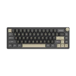Royal Kludge RK R65 Wired RGB Hot Swap (Brown Switch) Phantom Mechanical Gaming Keyboard