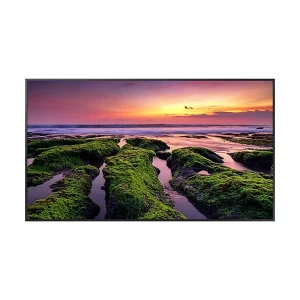 Samsung QBB Quantum Processor 65 inch 4K UHD Black Smart Digital Signage Display #LH65QBBEBGCXXL