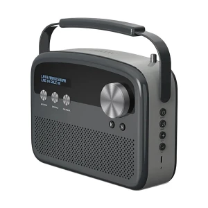 Saregama Carvaan Lite Hindi Graphite Grey Bluetooth Portable Music