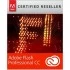 Adobe Animate Creative Cloud / Flash Professional Graphics Editing