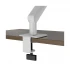 AOC AM400W 17-34 Inch White Adjustable Single Arm Monitor Desktop Mount Stand